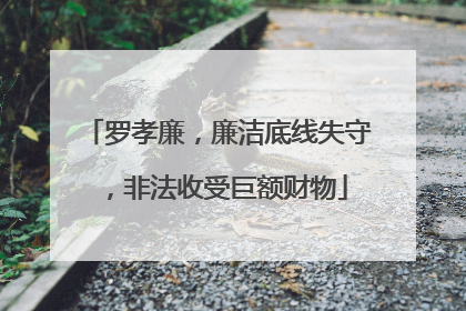 罗孝廉，廉洁底线失守，非法收受巨额财物