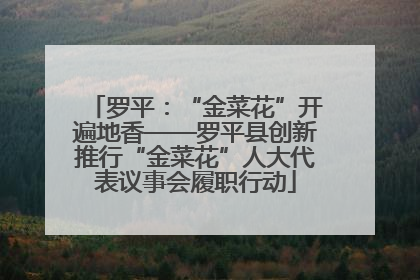 罗平：“金菜花”开遍地香——罗平县创新推行“金菜花”人大代表议事会履职行动