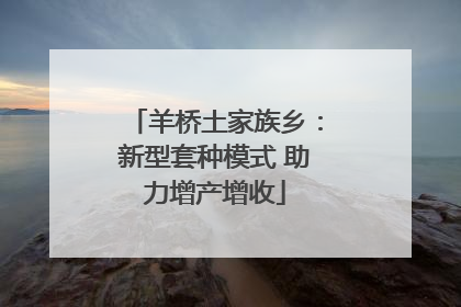 羊桥土家族乡：新型套种模式 助力增产增收