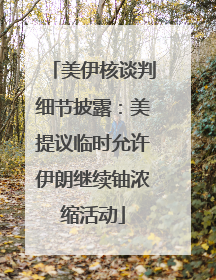 美伊核谈判细节披露：美提议临时允许伊朗继续铀浓缩活动