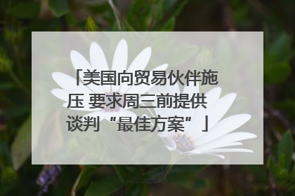 美国向贸易伙伴施压 要求周三前提供谈判“最佳方案”