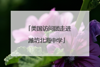 美国访问团走进潍坊北海中学
