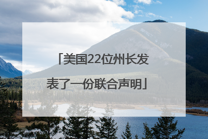 美国22位州长发表了一份联合声明