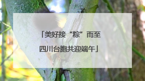 美好接“粽”而至 四川台胞共迎端午