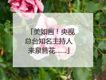 美如画！央视总台知名主持人来泉簪花……