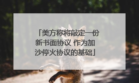 美方称将敲定一份新书面协议 作为加沙停火协议的基础