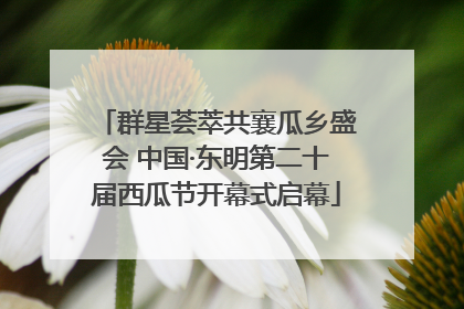 群星荟萃共襄瓜乡盛会 中国·东明第二十届西瓜节开幕式启幕