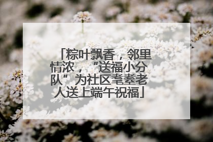 粽叶飘香，邻里情浓，“送福小分队”为社区耄耋老人送上端午祝福