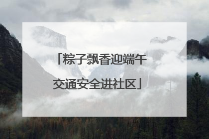 粽子飘香迎端午 交通安全进社区