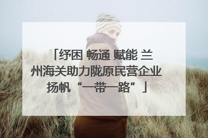 纾困 畅通 赋能 兰州海关助力陇原民营企业扬帆“一带一路”