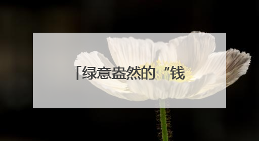 绿意盎然的“钱袋子”：高原夏菜成富民产业