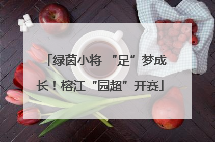 绿茵小将 “足”梦成长！榕江“园超”开赛