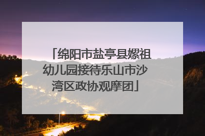 绵阳市盐亭县嫘祖幼儿园接待乐山市沙湾区政协观摩团