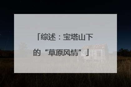 综述：宝塔山下的“草原风情”