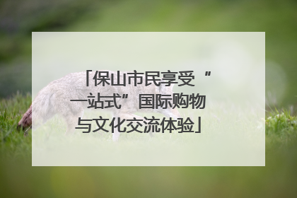 保山市民享受“一站式”国际购物与文化交流体验
