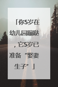 你5岁在幼儿园蹦跶，它5岁已准备“娶妻生子”