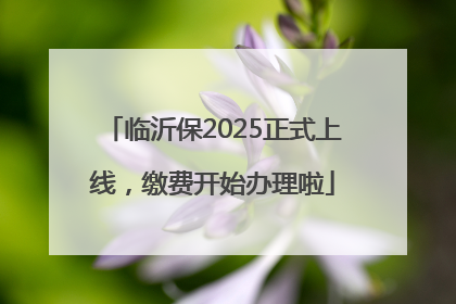 临沂保2025正式上线，缴费开始办理啦