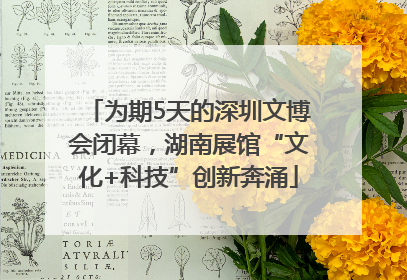 为期5天的深圳文博会闭幕，湖南展馆“文化+科技”创新奔涌