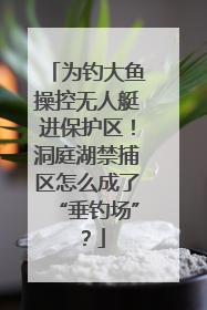 为钓大鱼操控无人艇进保护区！洞庭湖禁捕区怎么成了“垂钓场”？