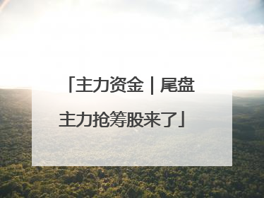 主力资金｜尾盘主力抢筹股来了