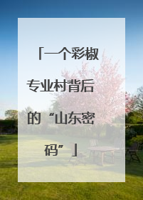 一个彩椒专业村背后的“山东密码”