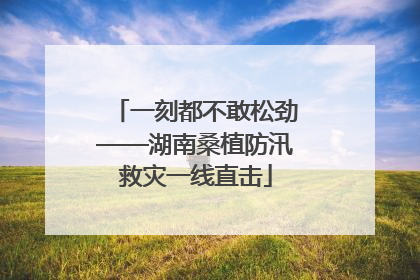 一刻都不敢松劲——湖南桑植防汛救灾一线直击
