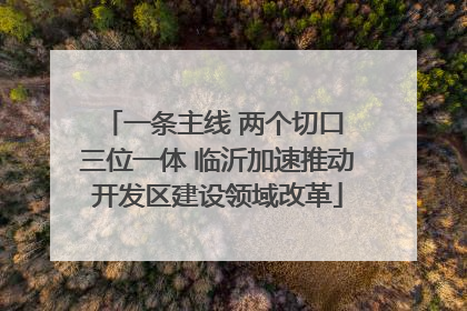 一条主线 两个切口 三位一体 临沂加速推动开发区建设领域改革