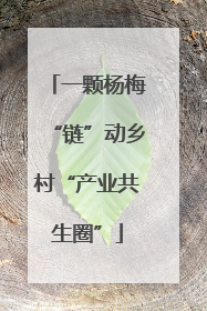 一颗杨梅“链”动乡村“产业共生圈”