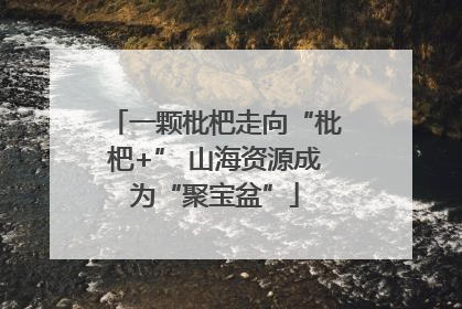 一颗枇杷走向“枇杷+” 山海资源成为“聚宝盆”