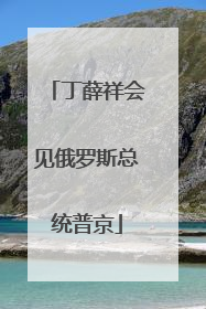 丁薛祥会见俄罗斯总统普京