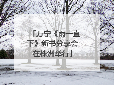 万宁《雨一直下》新书分享会在株洲举行