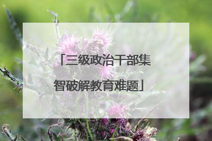 三级政治干部集智破解教育难题