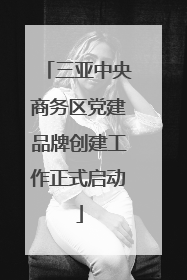 三亚中央商务区党建品牌创建工作正式启动