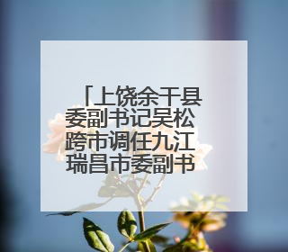 上饶余干县委副书记吴松跨市调任九江瑞昌市委副书记、市长候选人