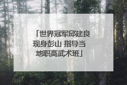 世界冠军邱建良现身彭山 指导当地职高武术班