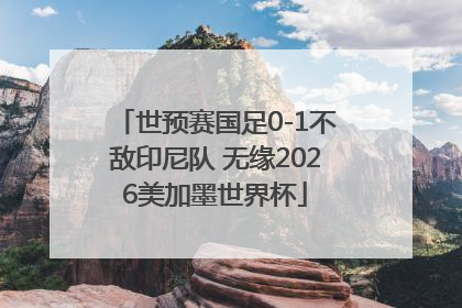 世预赛国足0-1不敌印尼队 无缘2026美加墨世界杯