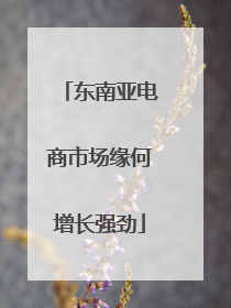东南亚电商市场缘何增长强劲