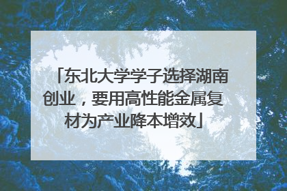 东北大学学子选择湖南创业，要用高性能金属复材为产业降本增效