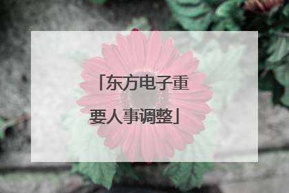 东方电子重要人事调整