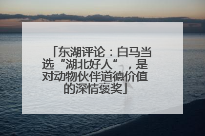 东湖评论：白马当选“湖北好人”，是对动物伙伴道德价值的深情褒奖
