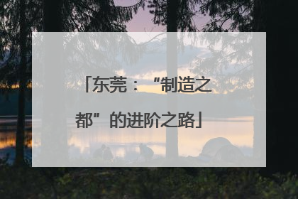 东莞：“制造之都”的进阶之路