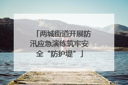 两城街道开展防汛应急演练筑牢安全“防护堤”
