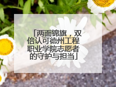 两面锦旗，双倍认可德州工程职业学院志愿者的守护与担当