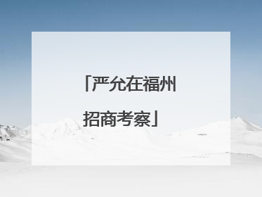 严允在福州招商考察