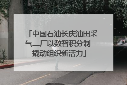 中国石油长庆油田采气二厂以数智积分制 撬动组织新活力