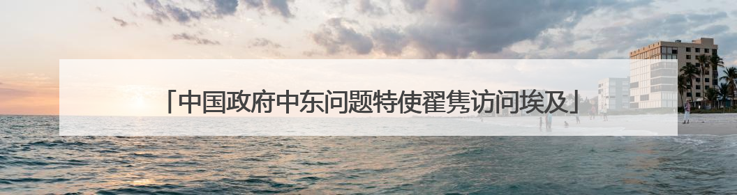 中国政府中东问题特使翟隽访问埃及