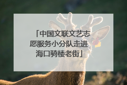 中国文联文艺志愿服务小分队走进海口骑楼老街
