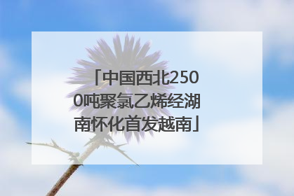 中国西北2500吨聚氯乙烯经湖南怀化首发越南