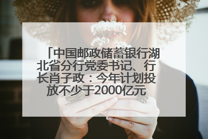 中国邮政储蓄银行湖北省分行党委书记、行长肖子政：今年计划投放不少于2000亿元支持支点建设
