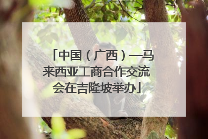 中国（广西）—马来西亚工商合作交流会在吉隆坡举办